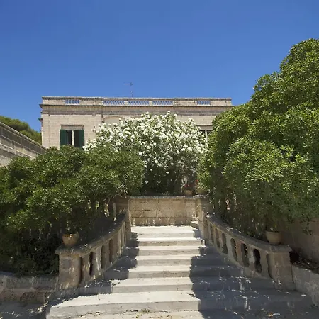 Leone Maggio Castrignano del Capo